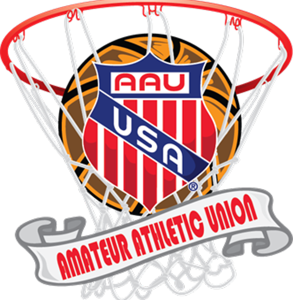 pros and cons of aau basketball