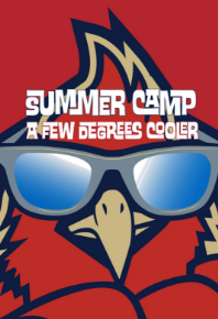 Team Carolina Lacrosse Summer Camps